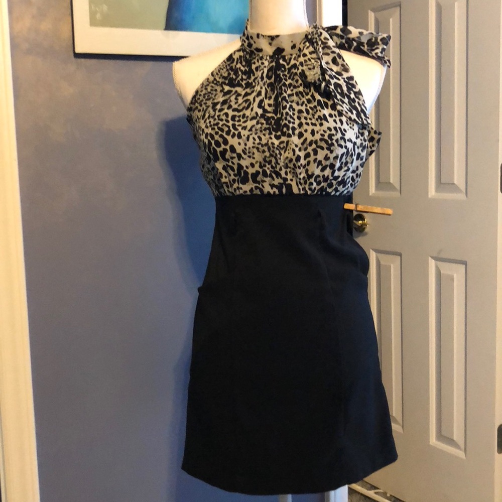 Alyn Paige sophisticated work to evening dress. EUC